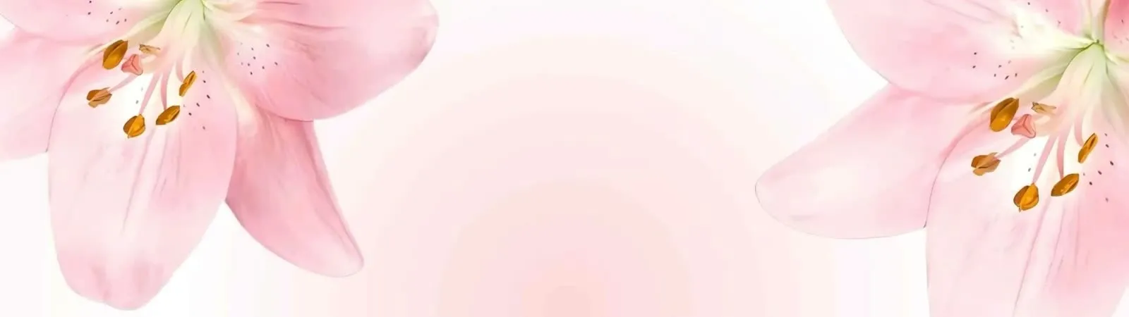 Amelie cover
