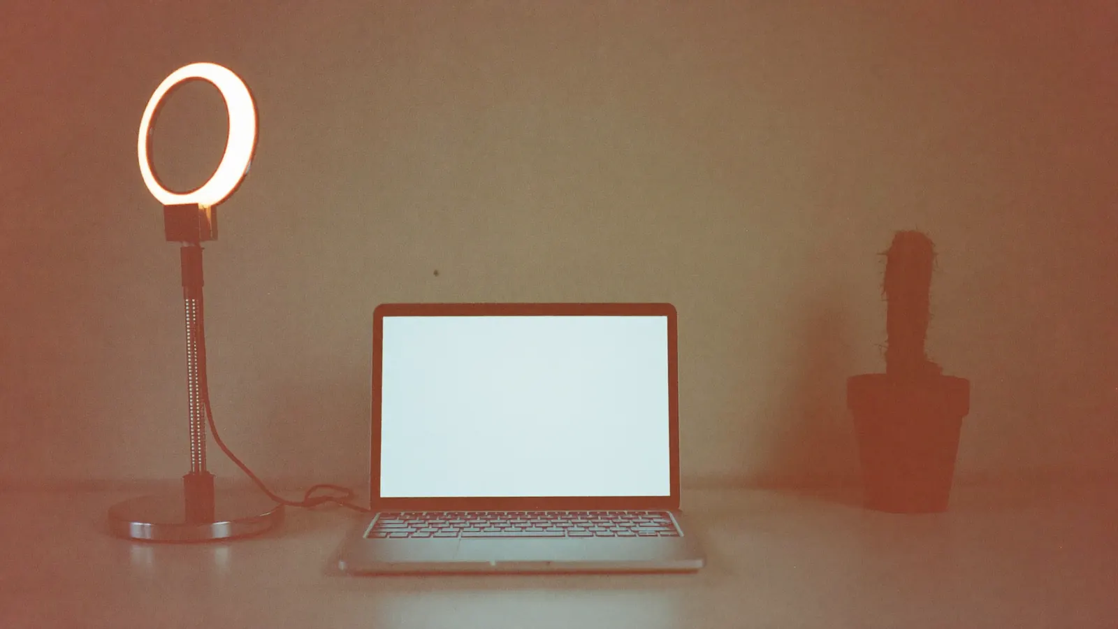 A desk with a laptop, a ring light switched off and a small cactus, dusk light